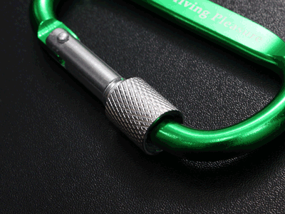 TEIN Carabiner Keychain