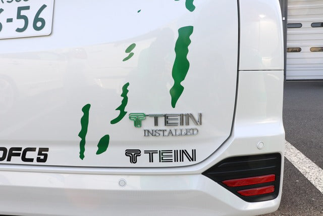 TEIN 3D Emblem Sticker