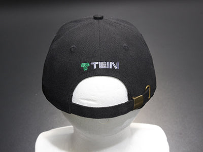 TEIN Big Logo Cap