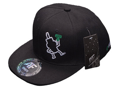 TEIN Flat Bill Cap
