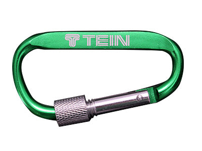 TEIN Carabiner Keychain
