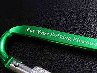 TEIN Carabiner Keychain