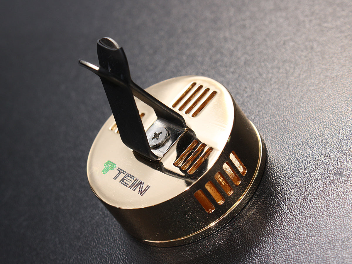 TEIN Air Freshener Dampatty