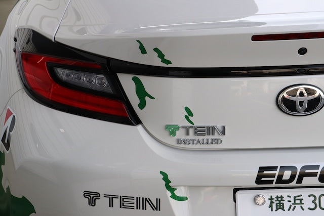TEIN 3D Emblem Sticker